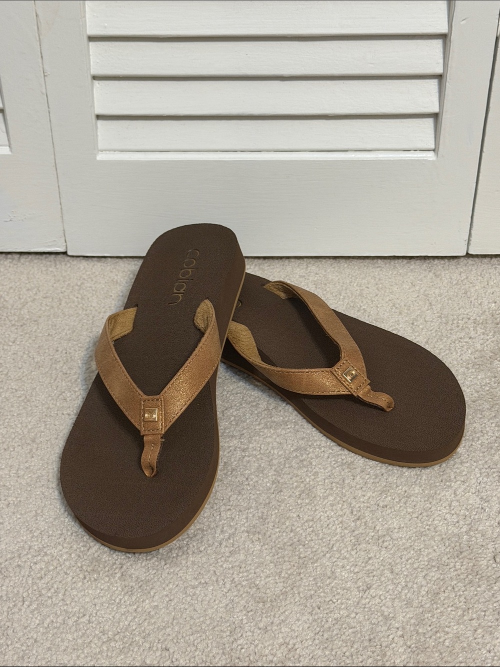 Cobian Women's Brown Sandals with Bronze Straps